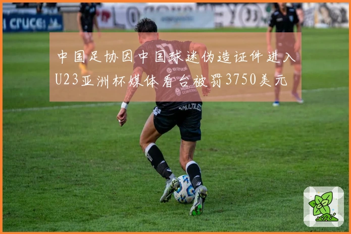 中国足协因中国球迷伪造证件进入U23亚洲杯媒体看台被罚3750美元